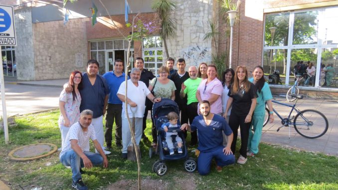 prensa_plantacion_jacaranda-hospital-de-Wilde