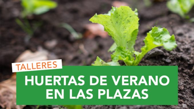 HUERTAS DE VERANO