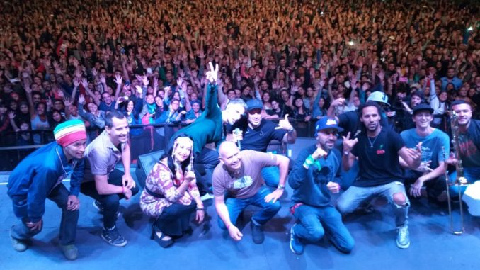 Imagen (2)