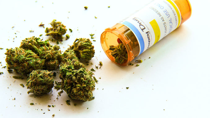 marihuana uso medicinal