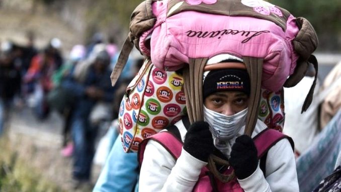 migrantes