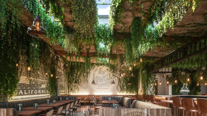 restaurant de cannabis