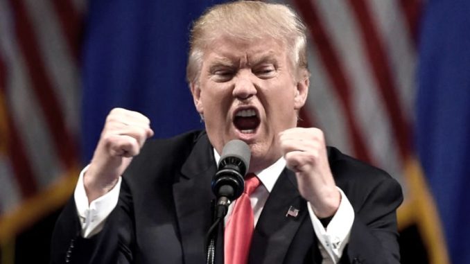 trump puños