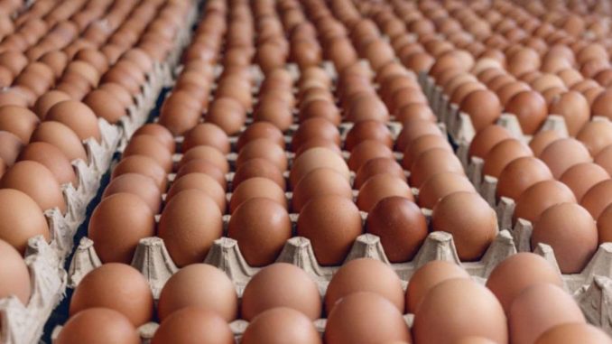 huevos