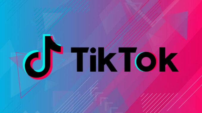 estadisticas-tik-tok-1024x683