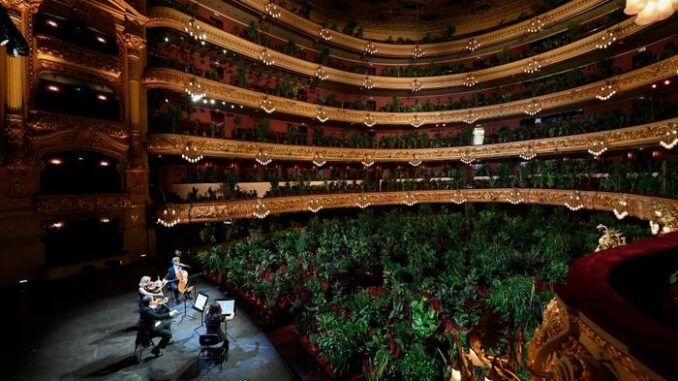 7c17abdfa1631f00c8360eef27a7d479e6-22-Liceu-Opera-Plants-2.rhorizontal.w700