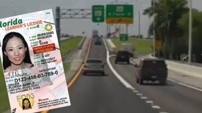 licencia-florida