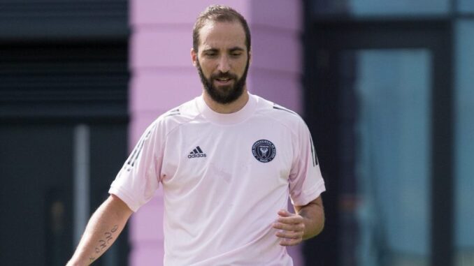pipita solo