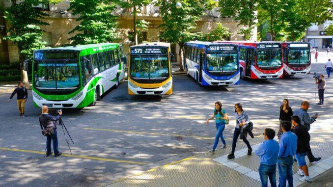 colectivos-mdq7