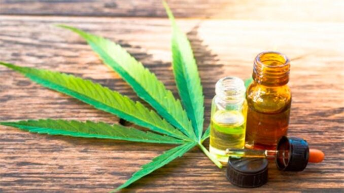 cannabis medicinal reglamentacion ley argentina