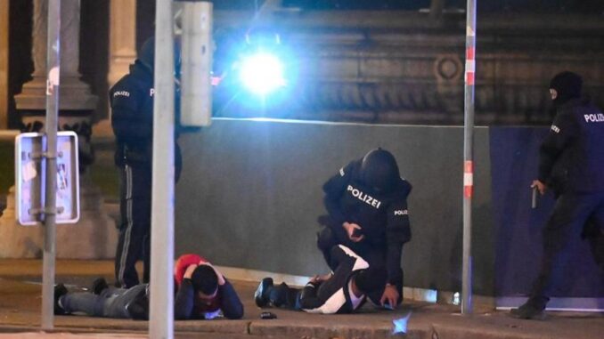 la-policia-de-viena-detiene-a-dos-individuos-tras-los-ataques-terroristas