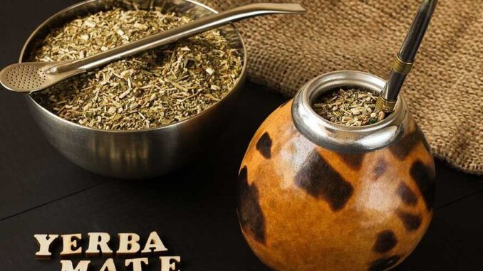 yerba regulacion
