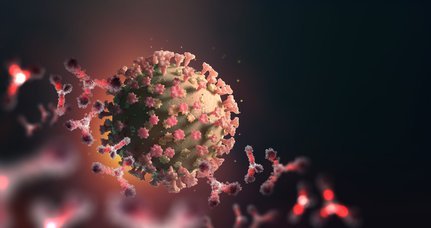 Mutacion_del_coronavirus.width-465