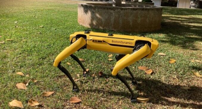 perro robot