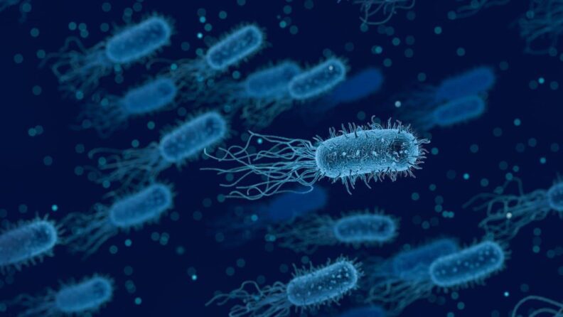 Preocupación en Reino Unido por la bacteria “comecarne” que se transmite por vía sexual