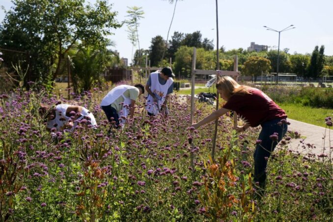 Programa "Alta movida": jóvenes participaron del proyecto de parquización del velódromo