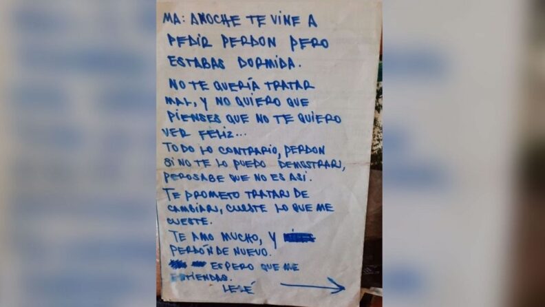 Cande Tinelli: “anoche vine a pedirte perdón, pero ya estabas dormida”