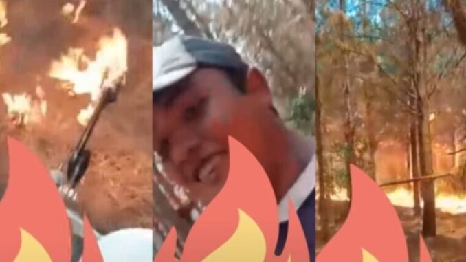 incendio-idiota