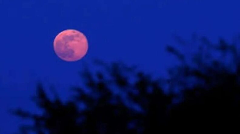 Desde este Sábado se podrá ver la “Luna Rosa” acompañada por una lluvia de estrellas
