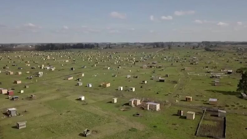 Un juez avaló la toma de tierras más grande de la provincia de Buenos Aires