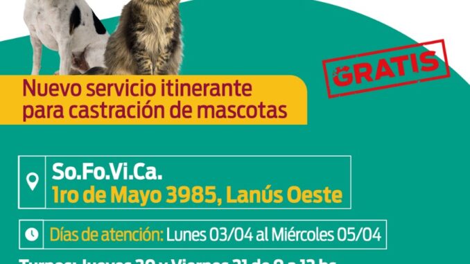 IMAGEN 1