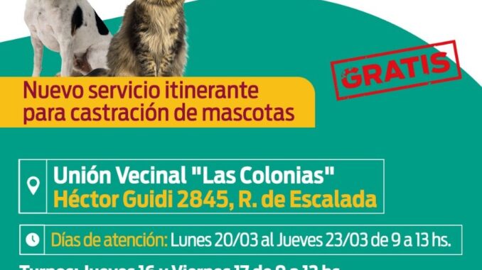 IMAGEN 1