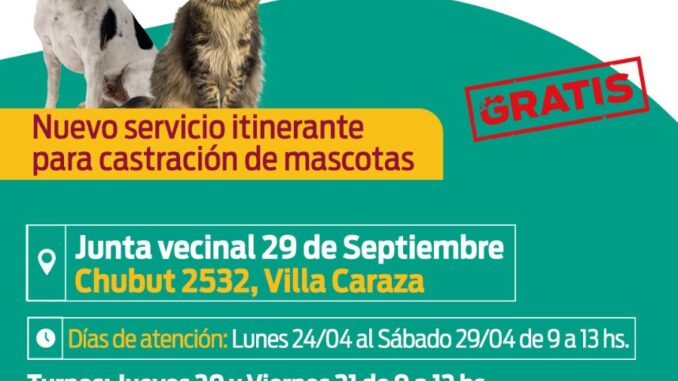 IMAGEN 1