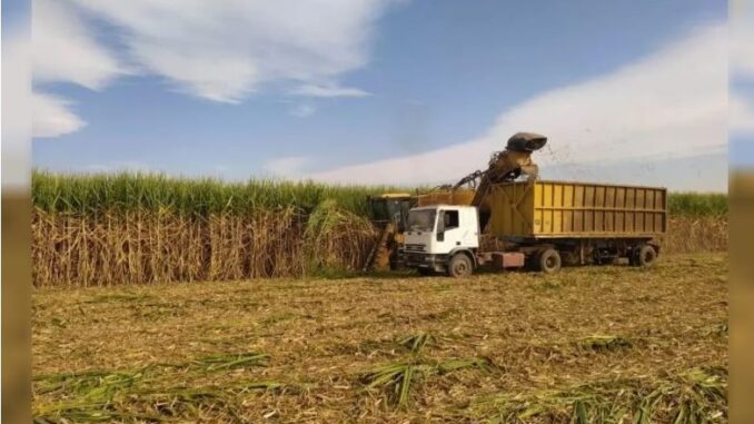 INGENIOS AZUCAREROS DESTACADA