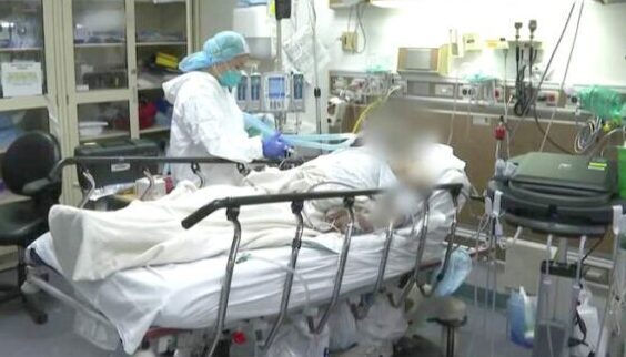 Florida supera las 50.000 muertes por COVID-19 desde que comenzó la pandemia