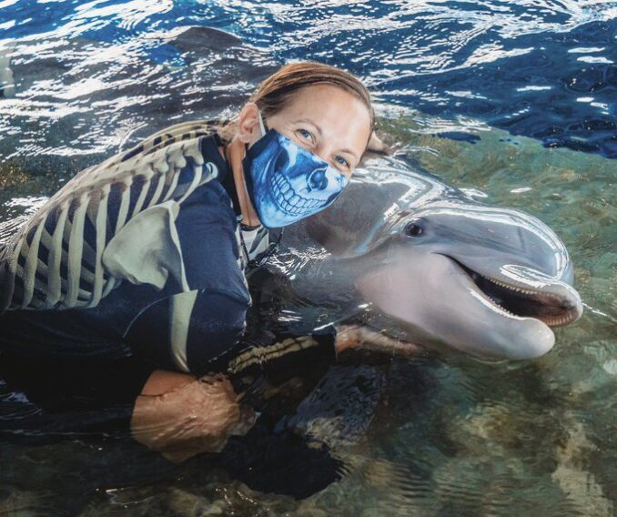 Murió Winter, uno de los delfines más queridos del mundo