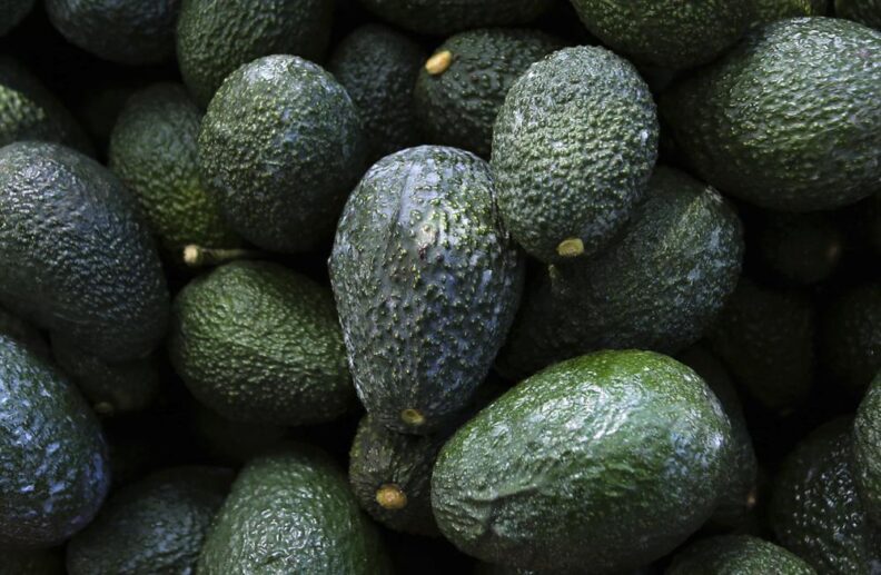 EEUU suspende la importación de aguacate mexicano tras amenazas 