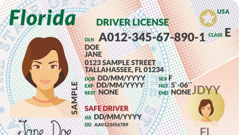 Miles de residentes de Florida podrán recuperar sus licencias de conducir