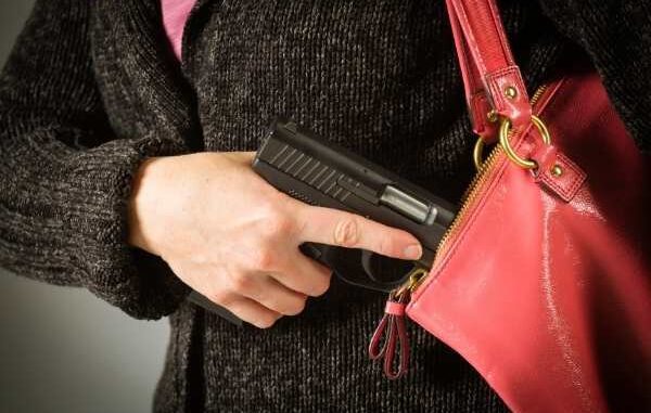 florida-conceal-carry-law
